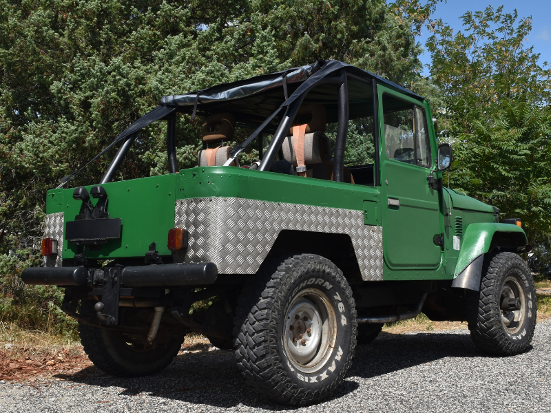 Toyota landcruiser (1)